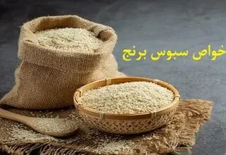 خواص سبوس برنج که از آن بی خبرید