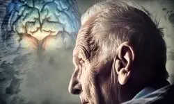 احمد دلبری: «آلودگی هوا» خطر ابتلا به زوال شناختی و آلزایمر را افزایش می‌دهد