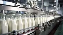 روند تولید شیر در حال بازگشت به شرایط عادی است