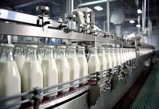 روند تولید شیر در حال بازگشت به شرایط عادی است