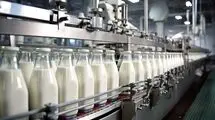 روند تولید شیر در حال بازگشت به شرایط عادی است