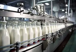 روند تولید شیر در حال بازگشت به شرایط عادی است