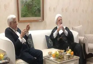 دیدار عارف با مهدی کروبی