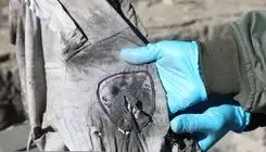 ۷ نفر از کارکنان نظام سلامت به شهادت رسیدند+ اسامی