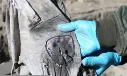 ۷ نفر از کارکنان نظام سلامت به شهادت رسیدند+ اسامی