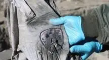 ۷ نفر از کارکنان نظام سلامت به شهادت رسیدند+ اسامی