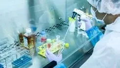 جهش پرشتاب پزشکی بازساختی در دولت چهاردهم