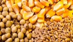 ابلاغ تغییر نرخ محاسبات حقوق ورودی نهاده های دامی و کالاهای اساسی (به جز گندم)