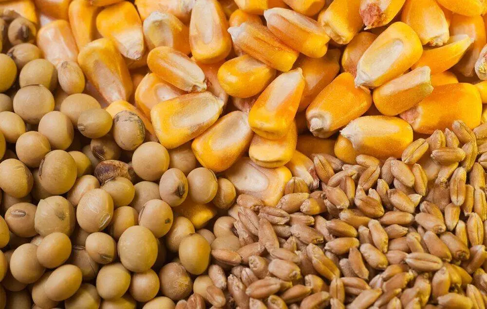 ابلاغ تغییر نرخ محاسبات حقوق ورودی نهاده های دامی و کالاهای اساسی (به جز گندم)