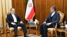 دیدار سرکنسول ایران در نجف اشرف با سیدعباس عراقچی 