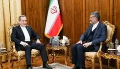 دیدار سرکنسول ایران در نجف اشرف با سیدعباس عراقچی 