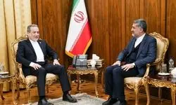 دیدار سرکنسول ایران در نجف اشرف با سیدعباس عراقچی 