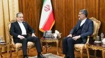 دیدار سرکنسول ایران در نجف اشرف با سیدعباس عراقچی 