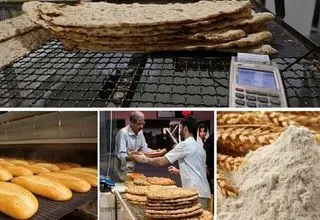 تامین ۸ میلیون تن گندم مورد نیاز برای واحدهای خبازی
