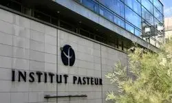 آسیب به انستیتو پاستور ایران در پی حملات دشمنان 