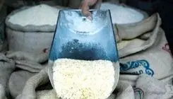 توزیع برنج پاکستانی باعث افت نوسانات بازار می‌شود