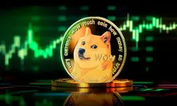 آخرین وضعیت بازار رمزارزها در جهان؛ دوج‌کوین جایگزین بیت‌کوین می‌شود؟
