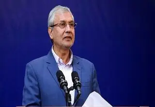 ربیعی:سیاست‌گذاری جمعیتی کشور نیازمند بازنگری جدی است