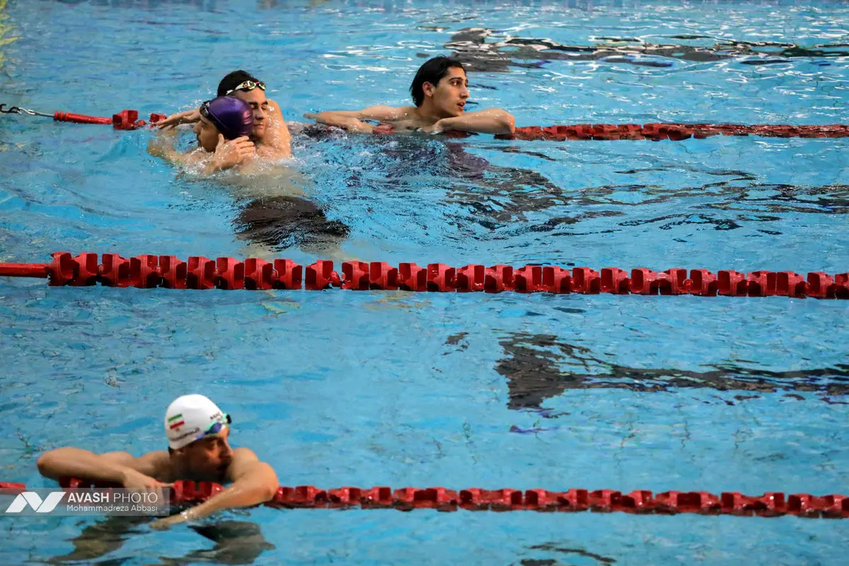مسابقات شنا جام آزادی