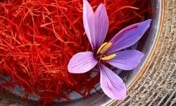 معامله بیش از ۲۱ میلیارد تومان زعفران در بورس کالا