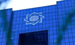 ابلاغ دستورالعمل اجرایی برای حمایت از واحد‌های آسیب دیده از سوی بانک مرکزی 