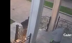 فیلم فرار سارق در حمله به منزل یک پزشک ایرانی در تورنتو