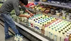 سرانه مصرف لبنیات روند نزولی داشته است