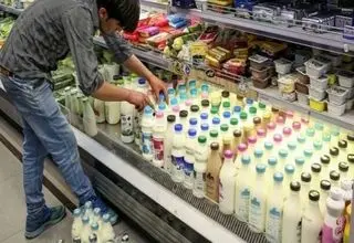 سرانه مصرف لبنیات روند نزولی داشته است