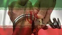 دستگیری حامی اسرائیل و عامل تحریک به اغتشاش