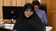در لایحه حفظ کرامت و حمایت از زنان و خانواده دقیقاً نقطه‌زنی کردیم