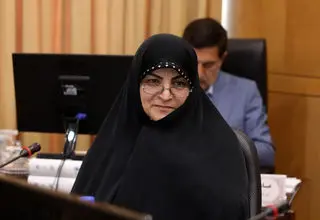 در لایحه حفظ کرامت و حمایت از زنان و خانواده دقیقاً نقطه‌زنی کردیم