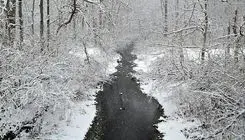 وضعیت هوای 5 روز آینده تهران و تمامی استان های ایران + جدول