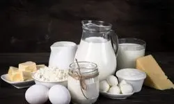 نرخ چهار قلم لبنیات تنظیم بازاری در حال ابلاغ است