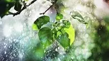 پیش بینی هواشناسی مشهد فردا سه شنبه ۱۷ شهریور