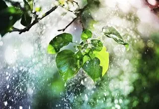 کاهش نسبی دما در نوار شمالی 