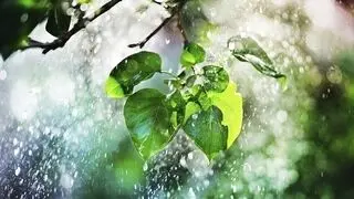 پیش بینی هواشناسی مشهد فردا سه شنبه ۱۷ شهریور