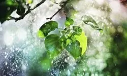 پیش بینی هواشناسی مشهد فردا سه شنبه ۱۷ شهریور