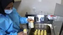 مادرانه‌ای به وسعت یک کشور