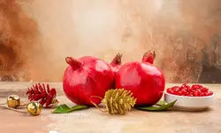 کدام برنامه‌های یلدایی در تلویزیون پربیننده شدند؟ 