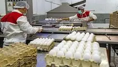  ۴.۵ میلیارد دلار مطالبات معوق در قالب برات توسط دولت تسویه می‌شود