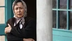 محمدرضا شریفی‌نیا: جشن‌های سینمایی ایران بیشتر به عزاداری شبیه است