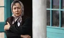 محمدرضا شریفی‌نیا: جشن‌های سینمایی ایران بیشتر به عزاداری شبیه است