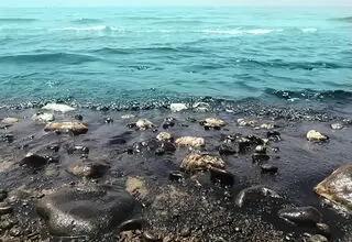 آلودگی نفتی به خانه لاک‌پشت‌ها و جنگل‌های حرا رسید