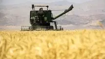 پرداخت ۱۴ هزار و ۸۰۰ میلیارد تومان به گندمکاران