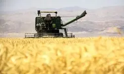 پرداخت ۱۴ هزار و ۸۰۰ میلیارد تومان به گندمکاران