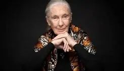 جین گودال درگذشت