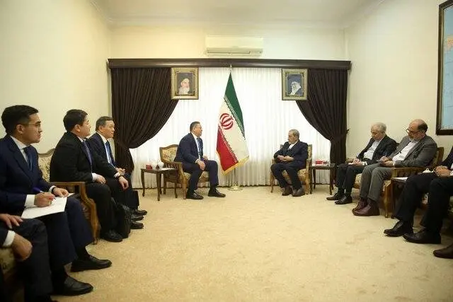 علی اکبر ولایتی با وزیرخارجه قزاقستان دیدار کرد