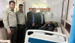حمله قاچاقچی چوب به جنگلبان چالوسی در روز جنگلبان