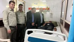 حمله قاچاقچی چوب به جنگلبان چالوسی در روز جنگلبان