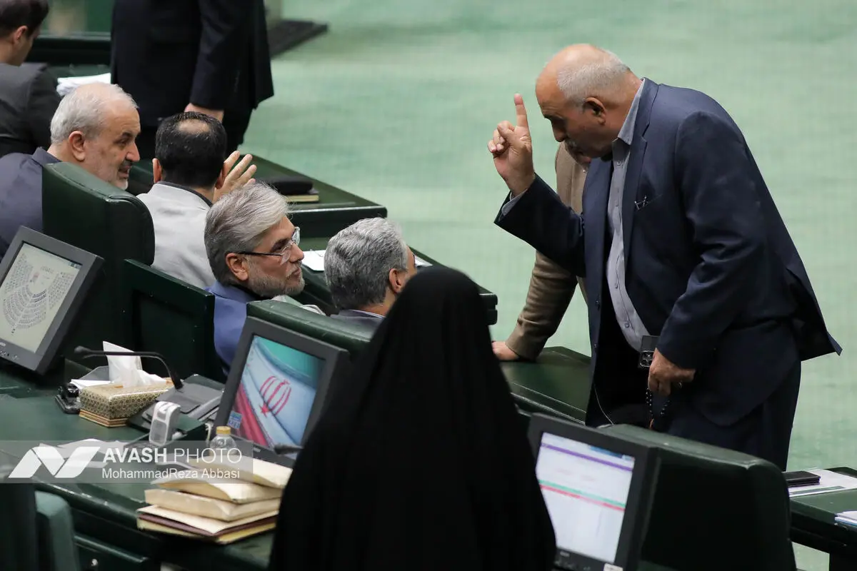 صحن علنی مجلس - ۲ دی